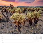 "Josua-Palmlilien im Joshua-Tree-Nationalpark, Kalifornien, USA | Foto: Timm Allrich." 

Sonnenuntergang über einer Wüstenlandschaft mit Kakteen.