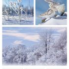 20-26, Mo-So, 51. Woche 2027, Dezember. Winterliche Landschaften, Eule im Flug, Schneebedeckte Bäume und Pflanzen.