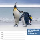 "RETTUNGSGASSE BILDEN. WIR TANZEN!" Kalenderseite: 27. Dez bis 2. Jan, Silvester und Neujahr. Zwei Kaiserpinguine am Strand.