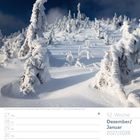 52. Woche, Dezember/Januar 2027/2028. Verschneite Bäume im Winterwald mit tiefblauem Himmel.