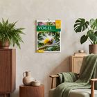 Kalender zeigt "Vögel: Bunte Artenvielfalt aus aller Welt". Wohnzimmer mit Pflanzen, Holzmöbeln und Sessel.