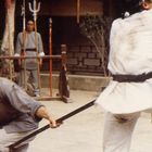 Ein Mann in grauer Kleidung und Hut wehrt mit einem Stab den Angriff eines weiß gekleideten Mannes ab. Hintergrund mit Waffen.