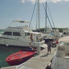 Boote am Steg, eines mit "CACHIVACHE" beschriftet. Menschen genießen die Sonne, ruhiges Wasser im Hafen.