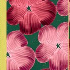 "NOTES" in goldener Schrift. Rosa und rote Blüten auf grünem Hintergrund. Gelber Rand links.