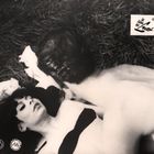 Es steht „Im Feuer der Lust“. Ein Paar liegt eng umschlungen auf einer Wiese, halb nackt. Es ist schwarz-weiß gehalten.