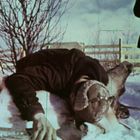 Person mit Fellmütze beugt sich über ein liegendes Rentier im Schnee. Weitere Person im Hintergrund, winterliche Umgebung.