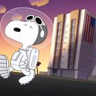 Ein großer grauer Bau mit einer USA-Flagge. Ein Hund in Astronautenanzug läuft, Himmel in gelben und violetten Tönen.