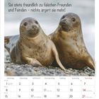 Monat November 2027, Spruch: "Sei stets freundlich zu falschen Freunden und Feinden – nichts ärgert sie mehr!"