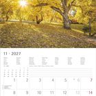 Kalender für November 2027. Oberhalb ein herbstlicher Baum mit gelben Blättern und Sonnenschein.