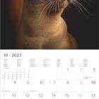 10 · 2027. Monatskalender mit Wochentagen. Großes Portrait einer Katze mit dunklem Fell und leuchtenden Augen.