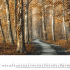 Die Monate Dezember. Ein nebliger Wald mit Herbstlaub. Ein schmaler Weg schlängelt sich durch hohe, goldbraune Bäume.