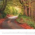Herbstbuchen Allee, High Weald National Landscape, Sussex. Ein schmaler Weg mit bunten Blättern gesäumt von Bäumen.