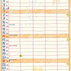 "November". Tage und Spalten für Termine. "Vogelbeeren" Beschreibung. Illustrationen: Vögel, Blätter, Regentropfen.