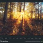 November. Kalender mit Baumstämmen im Herbstwald, Sonnenstrahlen brechen durch die Bäume, warmes, goldenes Licht.