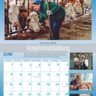 "Vorjahresabbildung" und "Ganz im Glück" stehen oben. Eine Frau füttert Kühe im Stall, unten ein Kalender für Juni.