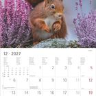 Kalender für Dezember 2027 mit einem Eichhörnchen, umgeben von violetten Blumen.