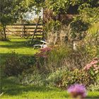 Oktober 2027. Ein grüner Garten mit blühenden Pflanzen, Bäumen und einem Holzzaun im Hintergrund.