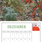 Text: Dezember. Bilder von rotem Beerenstrauch und Schneemann. Kalender mit Daten und Feiertagen im Dezember.