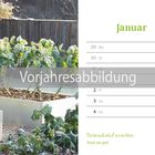 Text: "Januar", "Vorjahresabbildung", "Rosenkohl ernten: Frost tut gut!", "KW 1". Links gefrorener Rosenkohl im Garten.