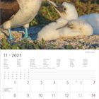 11 · 2027, Kalender mit Tagen und Wochen, Bild: Zwei Vögel, ein erwachsener und ein flauschiges Küken, in natürlicher Umgebung.