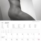 Kalenderblatt für November 2027 mit einem schwarz-weißen, stilisierten Aktfoto eines männlichen Oberkörpers.
