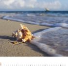 11, 2027. Sandstrand mit großer Muschel im Vordergrund, sanfte Wellen und im Hintergrund verschwommene Silhouette eines Bootes.