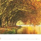 Text: "Platanenallee Baldeneysee, Nordrhein-Westfalen, Deutschland. Lakeside path at Lake Baldeney."

Eine Allee von Bäumen mit herbstlichen Blättern am Ufer eines Sees.
