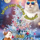 Texte: "Ich bin ganz aus dem Häuschen", "hier kommt", "DAS NIKOLÄUSCHEN". Weihnachtsbaum, Katze mit Bischofshut, Meerschweinchen.