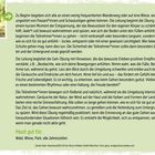 Zu Beginn begeben sich alle an einen wenig frequentierten Wanderweg oder auf eine Wiese, wo sie... Passt gut für: Wald, Wiese, Park; alle Jahreszeiten. Links oben sind Beine in Sportschuhen zu sehen.