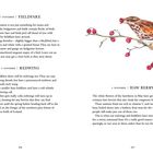 7 November | Fieldfare. 8 November | Redwing. 9 November | Haw Berry. Illustration: Vogel auf Zweig mit roten Beeren.
