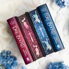 Vier bunte Bucheinbände, Titel: "Dire Bound" und "Fury Bound", mit dekorativen Silhouetten und blauen Blumen.