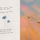 Text: "Someday we will find what we want. Or maybe we won’t, maybe we’ll discover something much greater than that." Links eine Zeichnung von zwei Blumen, rechts ein Himmel mit vier fliegenden Vögeln.