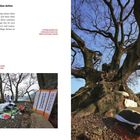 Oben links: Schutzgottheiten für Gemeinschaften. Unten links: Tempelritual mit Texttafeln vor Bäumen. Rechts: großer Baum.