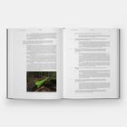 Andy Goldsworthy, Interview. Links Text mit einem Bild eines Baumstamms im Wald. Rechts fortlaufender Text.