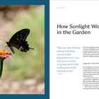 Titel: „How Sunlight Works in the Garden“. Zitat von Galileo über die Sonne. Foto eines Schmetterlings auf einer Blume.