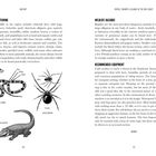 Texte: "Hunting and Fishing", "Wildlife Hazards", "Recommended Equipment". Untere Illustrationen: Korallenschlange, Schwarze Witwe, Alligator.