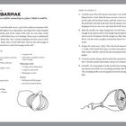 "Beshbarmak" Rezept aus Kirgistan, Zubereitung: Fleisch kochen, Nudeln und Zwiebelsauce herstellen. Zeichnung: Zwiebel, Fleisch.