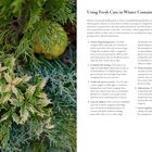 Titel: "Using Fresh Cuts in Winter Containers". Rechts Text mit Tipps zu winterlichen Pflanzen, links grüne Zweige und Tannenzapfen.