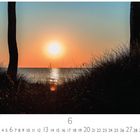 "Sonnenuntergang am Strand", untergehende Sonne über dem Meer, Silhouette von Gräsern, zwei Baumstämme im Vordergrund.