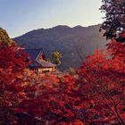 Keine Texte sichtbar. Ein traditionelles Gebäude inmitten von roten Herbstbäumen mit Berglandschaft im Hintergrund.