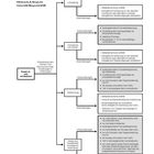 Flussdiagramm zur Bauplanung 2025 mit Kategorien: Nutzung, Umbau, Aufstockung, Anbau. Bedingungen und Erleichterungen gelistet.