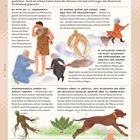 Eine Seite beschreibt die Alraune, ihre betäubenden und halluzinogenen Eigenschaften und historische Anwendungen. Illustrationen von Menschen und Pflanzen ergänzen den Text.