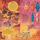 Echo der Vergangenheit. Künstlerinnen aus einer anderen Zeit. Ewige Bilder. Weibliche Körper. Die Sammlerin. 

Illustration mit prähistorischen Menschen, Höhlenzeichnungen und Venusfiguren in kräftigen Erdtönen.