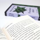Im Vordergrund ein Buch offen bei "Chapter XXIV". Im Hintergrund ein weiteres Buch "Mary Shelley - Frankenstein".