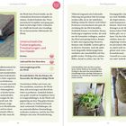 Unterschiedliche Futterangebote, Fresshaltungen und Slowfeeder. Drei Bilder: Pferdefutter, Pflanzen am Boden, Heunetz.