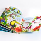 Text links: "Ein Tukan, der Schnabel ist bunt und sieht sehr prächtig aus." Rechts: "Kolibris sind winzig klein..."  
Illustration: Ein Tukan und ein Kolibri in einer farbenfrohen Dschungellandschaft mit Blumen und Blättern.