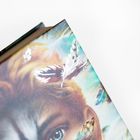 Keine sichtbaren Texte. Ein gemaltes Gesicht mit farbigen Federn und einem Auge auf einem Buchcover.