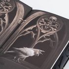 Keine Texte vorhanden. Illustration zeigt ein gotisches Fenster mit einem Totenkopf und einen krächzenden Raben.