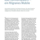 Seite 12: "Das Hormonsystem – ein filigranes Mobile". Erklärung des Hormonkreislaufs und Steuerungsebenen im Körper.