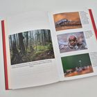 Texte: (2) Ein Scheinbuchenwald in der Flora, Neuseeland. (3) Manche Springschwänze... (4) Kugelringe... (5) Eine Springschwanz...  
Buchseiten mit Fotos eines Waldes und Insekten in Nahaufnahme.